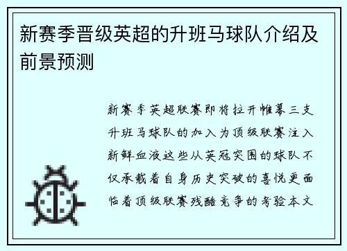 新赛季晋级英超的升班马球队介绍及前景预测